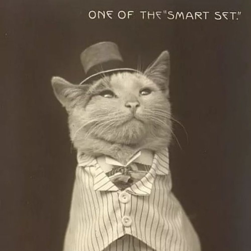 Meet your Posher, Margaret